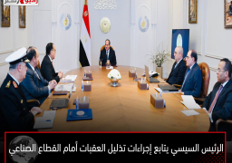 الرئيس السيسي يتابع إجراءات تذليل العقبات أمام القطاع الصناعي