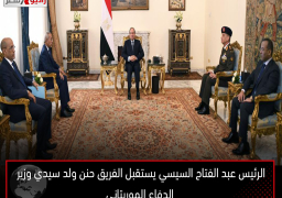 الرئيس عبد الفتاح السيسي يستقبل الفريق حنن ولد سيدي وزير الدفاع الموريتاني