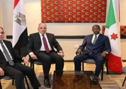 بالصور.. وزير الري يعود إلى أرض الوطن بعد زيارة رسمية ناجحة لدولتي تنزانيا وبوروندي