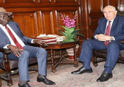 بالصور.. وزير الزراعة يبحث مع وزير الإنتاج والتحول الزراعي التشادي سبل التعاون بين البلدين