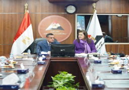 بالصور.. وزيرا التخطيط والتنمية المحلية يبحثان آخر تطورات برنامج التنمية المحلية بصعيد مصر