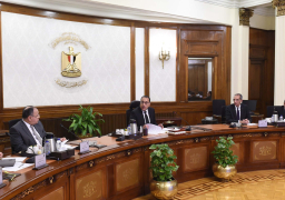 رئيس الوزراء يتابع جهود توطين صناعة التليفون المحمول فى مصر