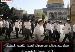 مستوطنون وعناصر من مخابرات الاحتلال يقتحمون المسجد الأقصى وسط حراسة مشددة