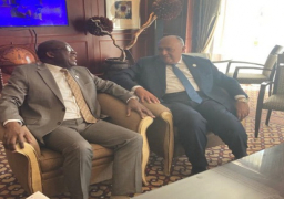 وزير الخارجية يلتقي نظيره الكونغولي على هامش أعمال المجلس التنفيذي للاتحاد الإفريقي