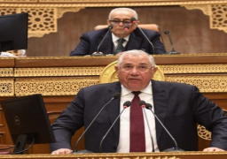 وزير الزراعة أمام الشيوخ: مصر حققت اكتفاءا ذاتيا في 9 مجموعات محصولية