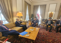وزير الخارجية يشدد على أهمية إحياء العملية السياسية لتسوية الأزمة السورية