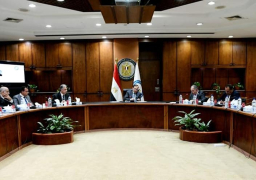 وزارة البترول : برامج وخطط غير تقليدية لزيادة إنتاج الشركات ذات معدلات الإنتاج الصغيرة