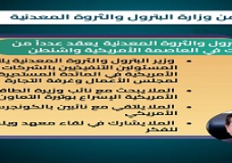 مصر وأمريكا تناقشان سبل تعزيز التعاون المشترك في تنمية موارد الطاقة