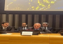 الدكتور سويلم يشارك في جلسة “مبادرة فريق أوروبا .. توحيد الجهود من أجل إدارة المياه المشتركة في إفريقيا”