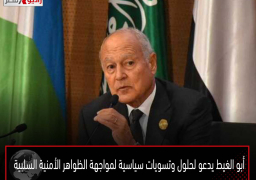 أبو الغيط يدعو لحلول وتسويات سياسية لمواجهة الظواهر الأمنية السلبية