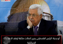 أبو ردينة: الرئيس الفلسطينى يجرى اتصالات مكثفة لوقف الاعتداءات الإسرائيلية