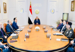 الرئيس السيسي يوجه بتعزيز التكامل بين قطاعي السياحة والطيران