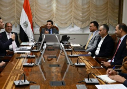 بالصور.. وزير الرياضة يلتقي رئيس الجامعة البريطانية في القاهرة