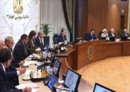 بالصور.. استعراض الموقف التنفيذي للمشروع القومي لتنمية الأسرة المصرية خلال اجتماع مجلس المحافظين