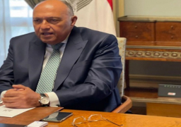 بالصور.. الوزير شكري يُشارك في الاجتماع الوزاري الافتراضي لمنتدى الاقتصادات الكبرى حول الطاقة والمناخ