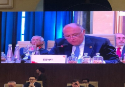 بالصور.. شكري يشارك في جلسة اجتماع وزراء خارجية مجموعة العشرين حول مكافحة الإرهاب