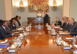 بالصور.. وزير الخارجية يعقد جلسة مباحثات مع نظيره الكيني