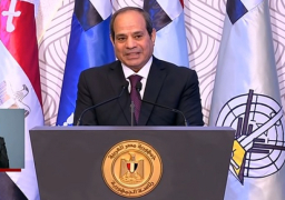 بالفيديو.. الرئيس السيسي: الحرب على الإرهاب لم تكن بسيطة والشهداء دفعوا ثمن تحقيق أمن واستقرار مصر