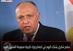 سامح شكري يشارك اليوم في اجتماع وزراء خارجية مجموعة العشرين بالهند