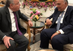 شكري ونظيره البرازيلي يؤكدان أهمية استمرار تنشيط اتفاقية التجارة الحرة بين مصر والميركسور