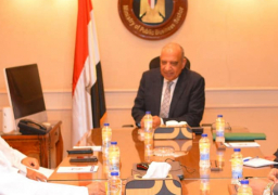 وزير قطاع الأعمال العام يستقبل الرئيس التنفيذي لـشركة “الإمارات العالمية للألمنيوم”