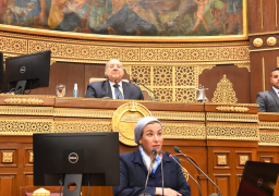 وزيرة البيئة أمام الشيوخ : تم استحداث وحدة للاستثمار البيئي والمناخي