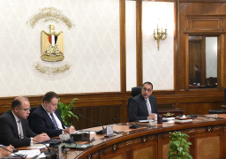 رئيس الوزراء يعقد اجتماعًا لاستعراض استراتيجية “الرقابة المالية” لتعزيز دور القطاع المالي غير المصرفي في دعم الاقتصاد