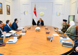 الرئيس السيسي يعقد إجتماعا لمتابعة البرامج القائمة والمستقبلية للدفع بجهود التنمية لشبه جزيرة سيناء