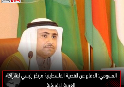 العسومي: الدفاع عن القضية الفلسطينية مرتكز رئيسي للشراكة العربية الإفريقية