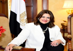 الهجرة تنشر إرشادات التحويلات المالية وتدبير النقد الأجنبي للطلاب المصريين الدارسين بالخارج