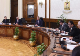 بالصور.. رئيس الوزراء يبحث الآليات المقترحة لتعزيز التبادل التجاري بين مصر والقارة الأفريقية