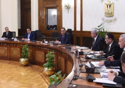 بالصور.. رئيس الوزراء يتابع موقف توافر الأدوية والمستلزمات الطبية المختلفة