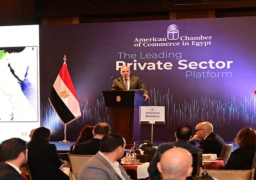 بالصور.. وزير الري يشارك بالجلسة الحوارية التى نظمتها الغرفة التجارية الأمريكية عن “الدور الرائد للقطاع الخاص”