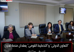 “التعاون الدولى” و”التخطيط القومى” يعقدان منصة تعاون تنسيقى مشترك