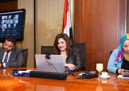 وزيرة الهجرة تلتقي عددا من أبناء الجالية المصرية في كل من “السويد والدنمارك وليتوانيا”