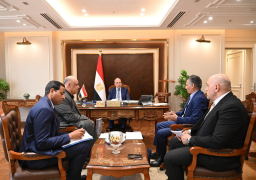 وزير الري: المنطقة الساحلية الشمالية بدلتا النيل الأكثر تأثرًا بارتفاع منسوب سطح البحر