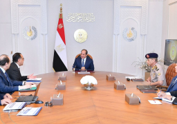 الرئيس السيسي يتابع عملية إجلاء المواطنين المصريين من السودان