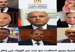 شكري يجري اتصالات هاتفية مع وزراء خارجية السودان والسعودية والعراق والجزائر والأردن وجيبوتي وكينيا