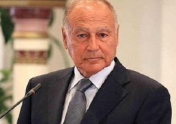 أبو الغيط يدعو إلى التكاتف بين الدول العربية ودول الباسيفيك من أجل التعبير عن الإرادة الحرة والمستقلة للجانبين