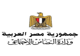 التضامن: صرف 100 ألف جنيه لأسرة كل متوفي أثر حادث طريق “الخارجة – أسيوط”