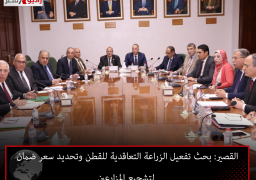 القصير: بحث تفعيل الزراعة التعاقدية للقطن وتحديد سعر ضمان لتشجيع المزارعين