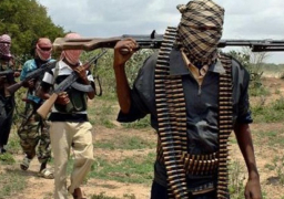 الولايات المتحدة توسع نطاق عقوباتها ضد قادة حركة الشباب بالصومال