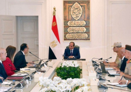 بالصور.. الرئيس السيسي يطلع على الموقف التنفيذي لانتقال الوزارات والأجهزة الحكومية المختلفة إلى العاصمة الإدارية الجديدة