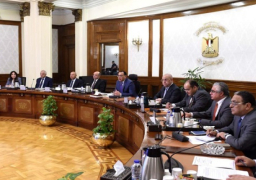 بالصور.. رئيس الوزراء يترأس اجتماع وحدة حل مشكلات المستثمرين