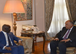 بالصور.. شكري يبحث مع وزير الشؤون الخارجية الموريتاني العلاقات الثنائية والملفات الإقليمية