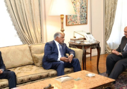 بالصور.. وزير الخارجية يستقبل المبعوث الخاص لرئيس مجلس السيادة السوداني