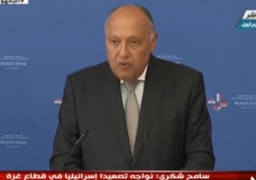 بالفيديو.. خلال مؤتمر صحفي مع “أعضاء مجموعة ميونخ”.. شكري يؤكد أهمية العمل على احتواء الوضع في قطاع غزة