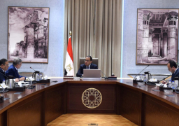 رئيس الوزراء يستعرض ملامح مشروع ضخم للبتروكيماويات في المنطقة الاقتصادية بالتعاون مع القطاع الخاص