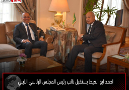 احمد ابو الغيط يستقبل نائب رئيس المجلس الرئاسي الليبي