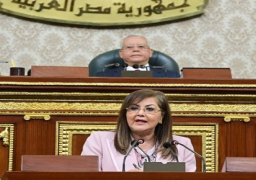 هالة السعيد أمام “النواب”: خطة التنمية الاقتصادية للعام المالي الجديد تم صياغتها وفق حوار وطني تشاركي